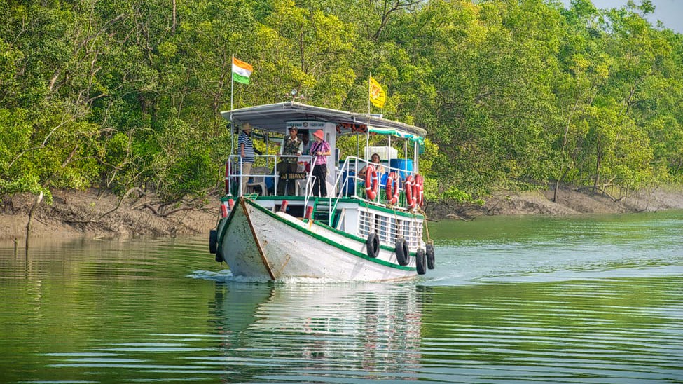 EconomyCruise